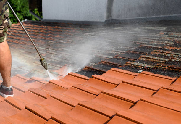 Best Power Washing Near Me  in Ashley, OH