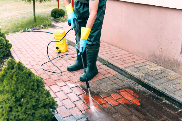 Best Roof Pressure Washing  in Ashley, OH