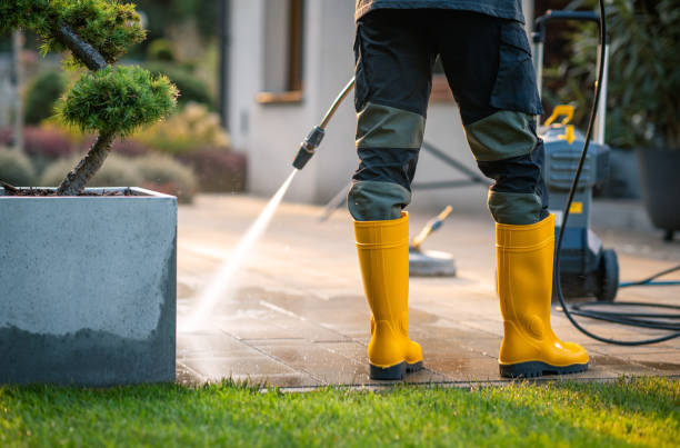 Best Best Pressure Washing Companies  in Ashley, OH